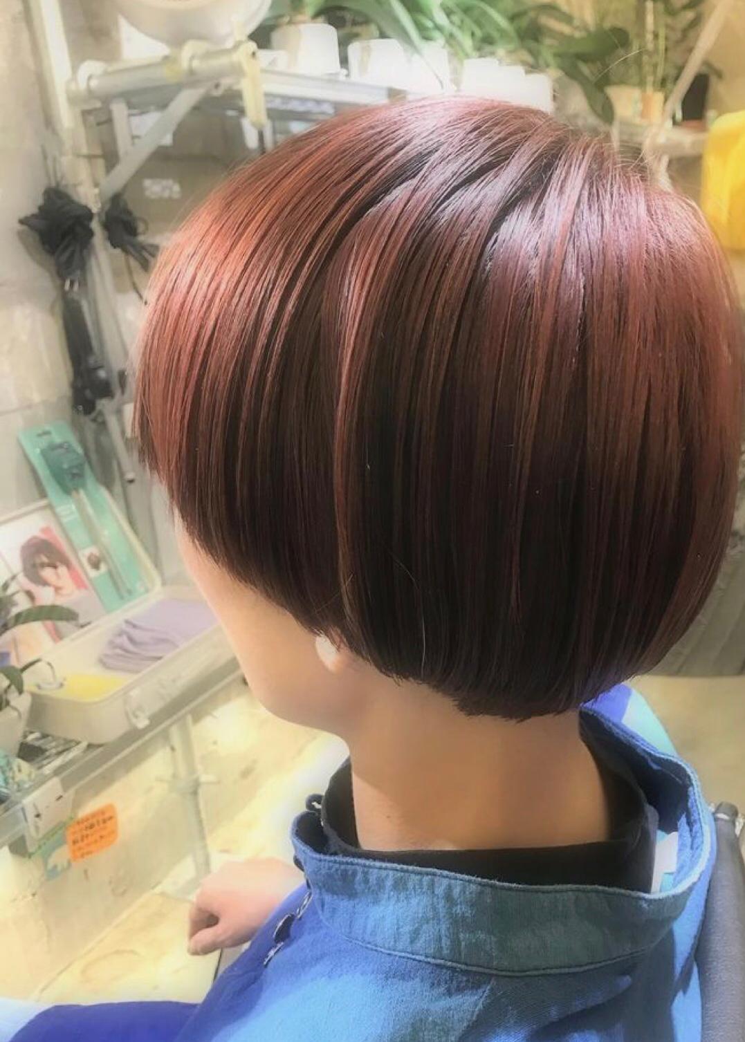 作品參考 / 最新消息:緊貼潮流colour套餐包焗油護理❣